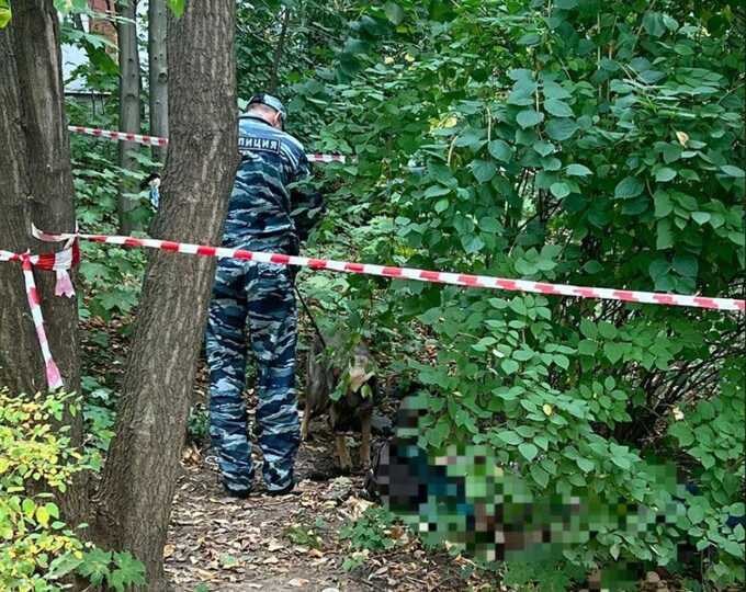 На западе Москвы у жилого дома нашли тело женщины